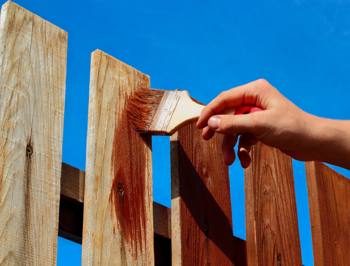 Fence Painting